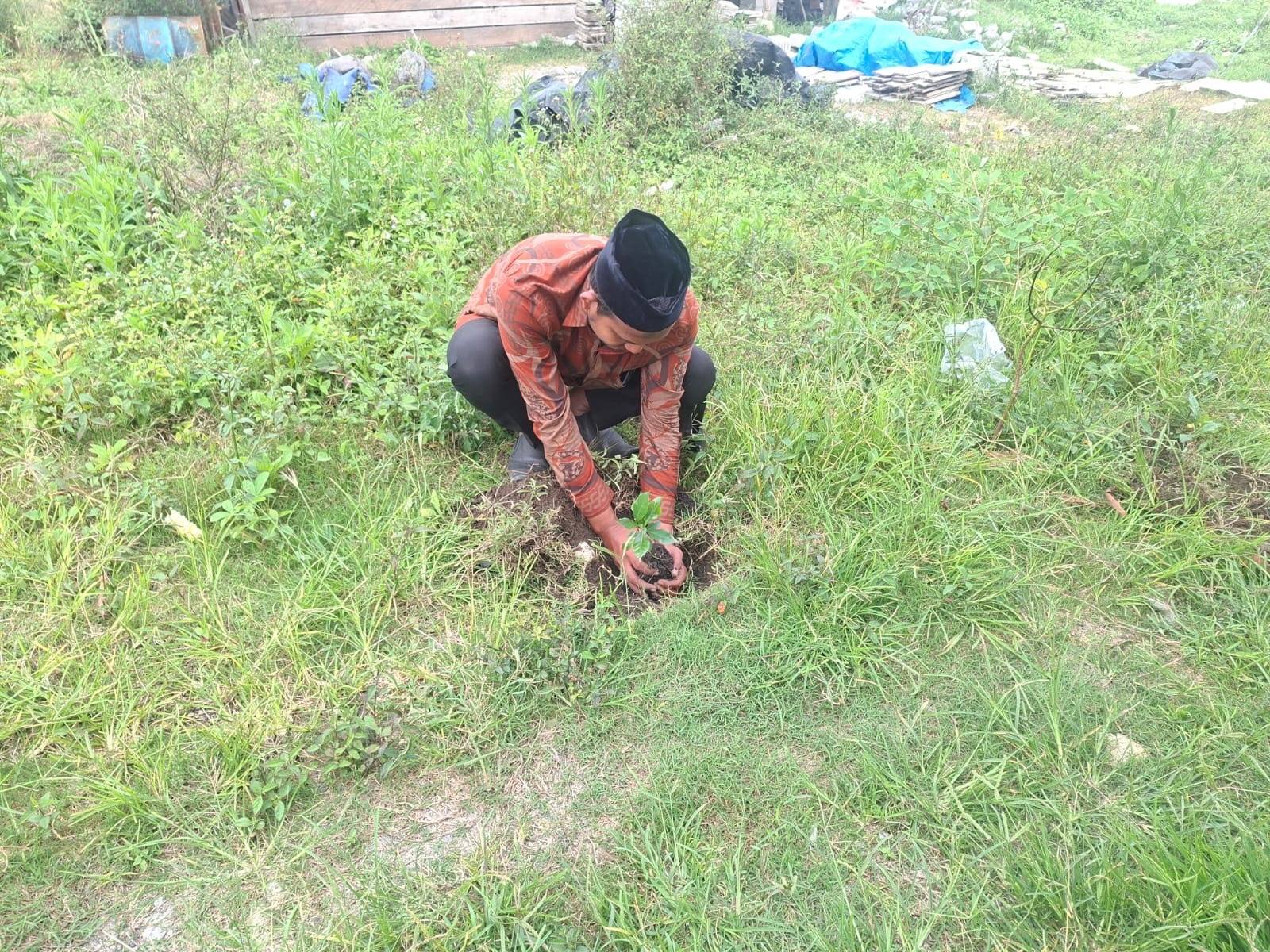 KUA Bukit Tanam Puluhan Kopi Arabika di Area Kantor