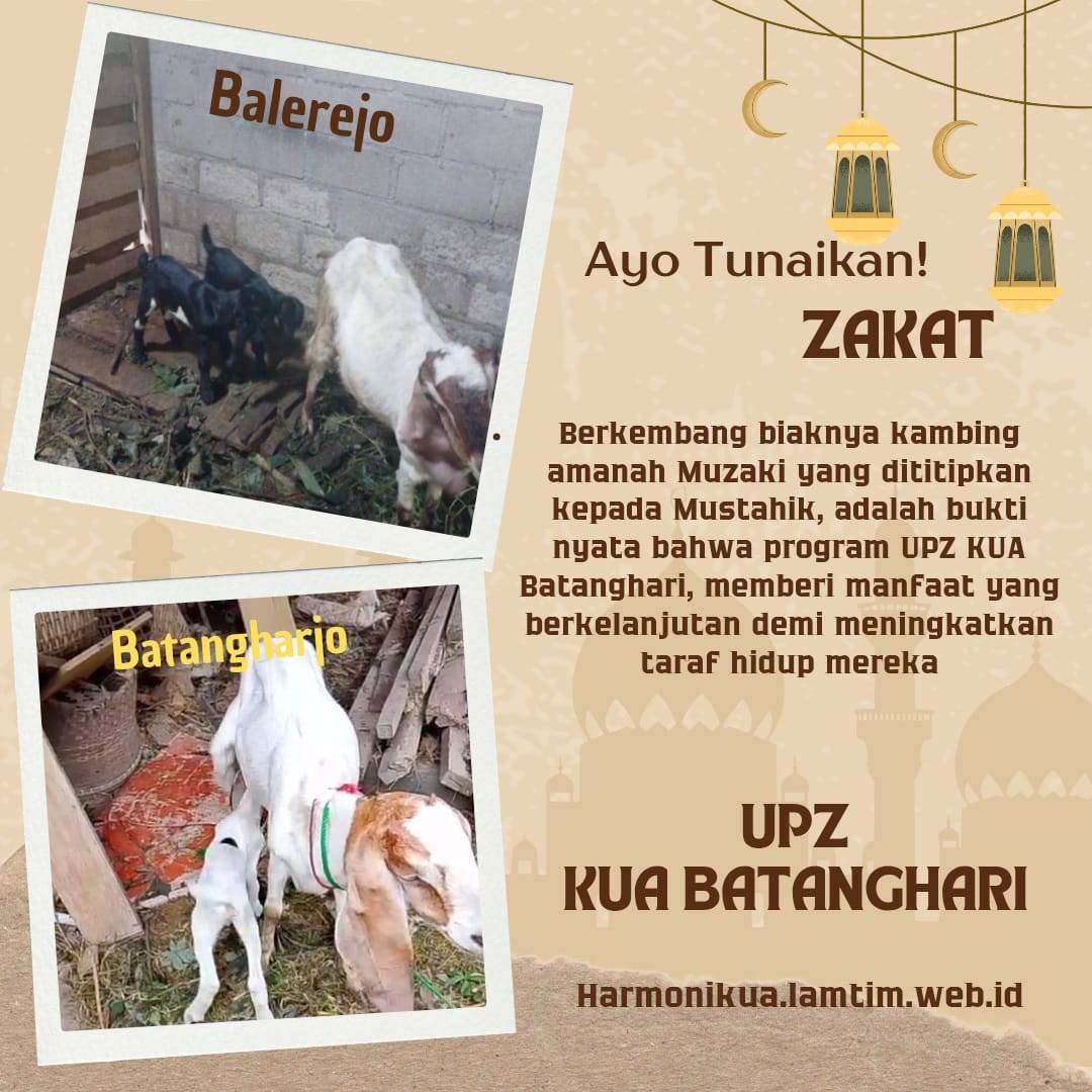 Zakat Produktif UPZ KUA Batanghari Tunjukkan Dampak Nyata bagi Mustahik