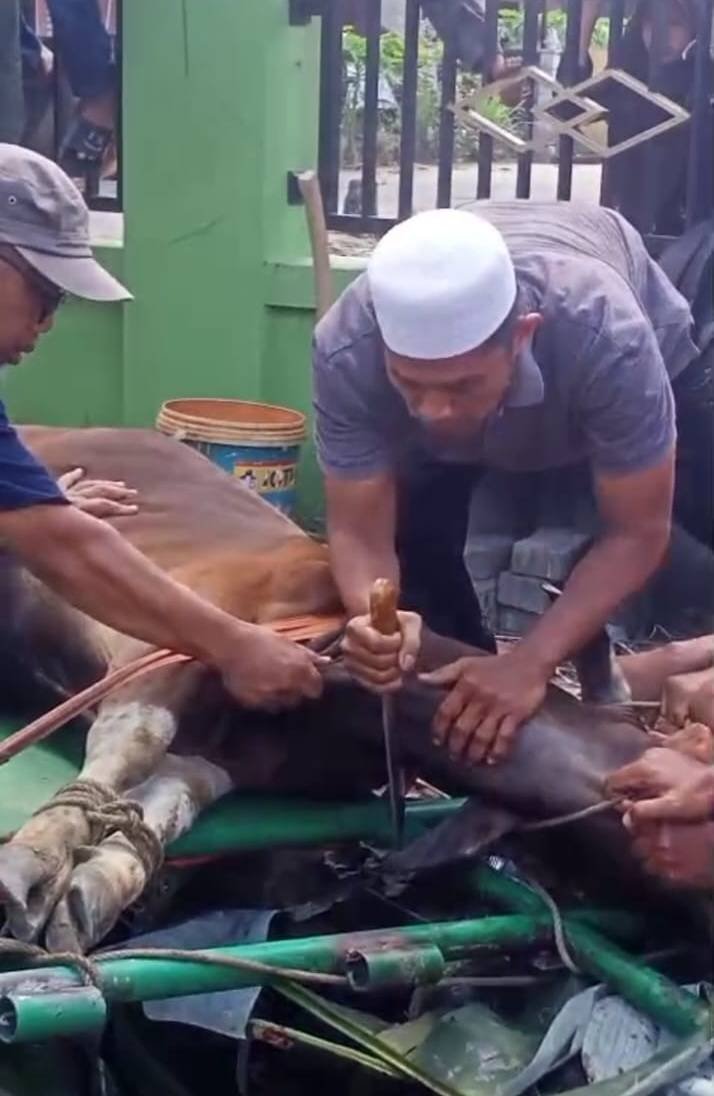 Ka. KUA Sukajadi Mendapat Tugas Menyembelih Hewan Kurban Di Kecamatan Bina Widya 