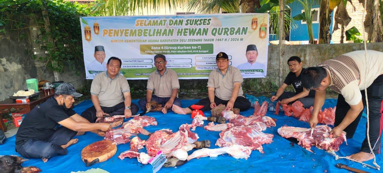 Wujud Kepedulian Sosial, KUA Hamparan Perak Sukses Laksanakan Penyembelihan Hewan Qurban