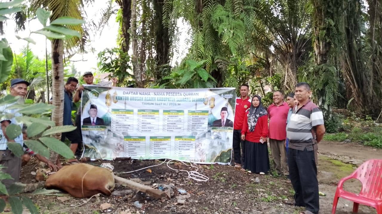 Bersama Umat KUA Silinda Melaksanakan Penyembelihan Hewan Qurban