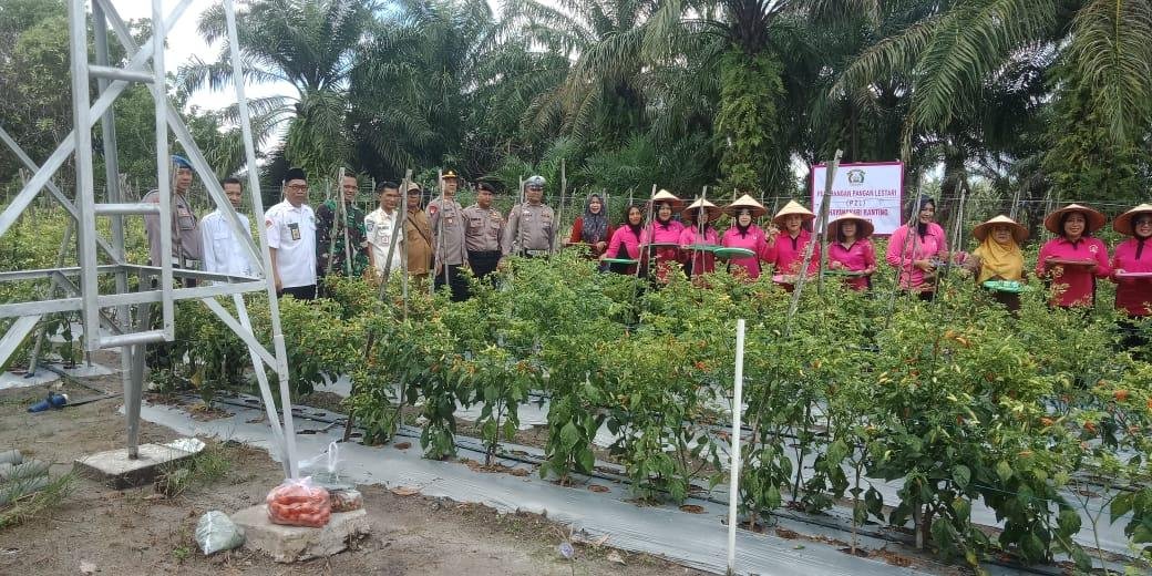 Panen Holtikultura di Pasir Sakti: Sinergi KUA, Polsek, dan Koramil dalam Ketahanan Pangan