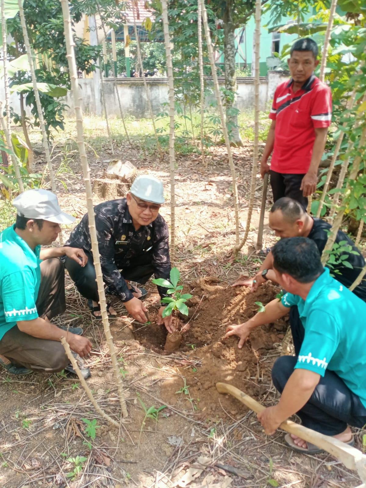 KUA Raman Utara Tanam Pohon Matoa, Dukung Program Ekotiologi
