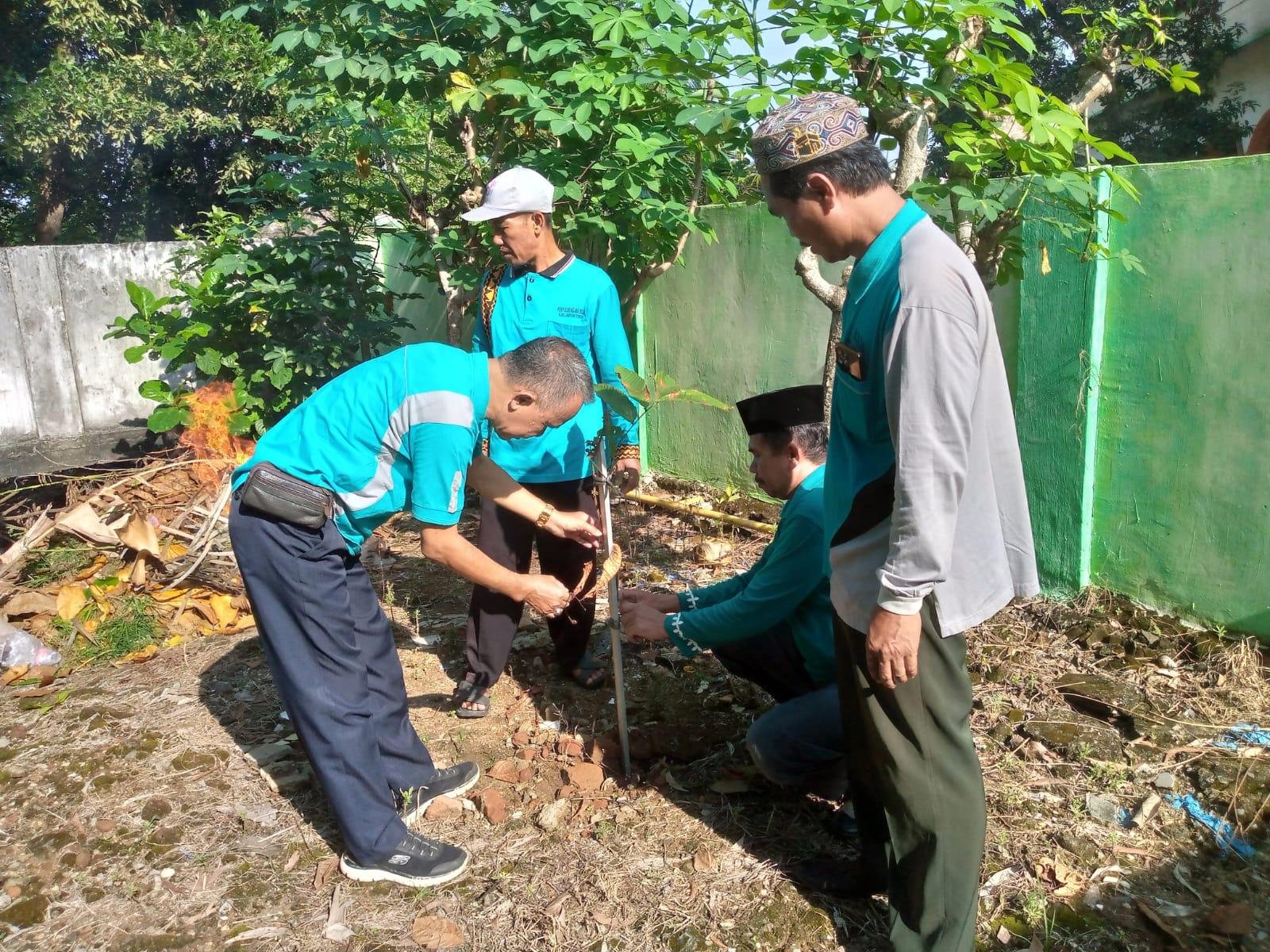 Hijaukan Lingkungan, KUA Purbolinggo Tanam Matoa Bareng Penyuluh dan Penghulu