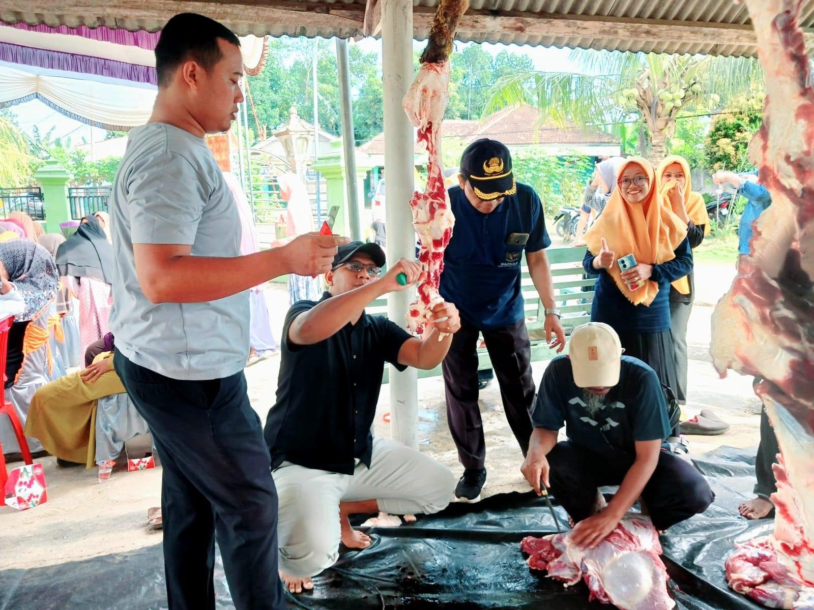 Jamaludin, Penyuluh Sekampung Udik, Berperan Aktif Sukseskan Kurban Pokjaluh dan BSI di Way Bungur