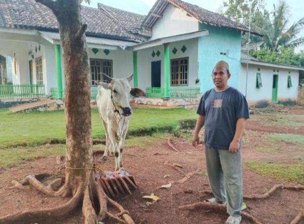 Suyanto Serahkan Sapi Kurban ke Ponpes Al-Ittihad Jabung