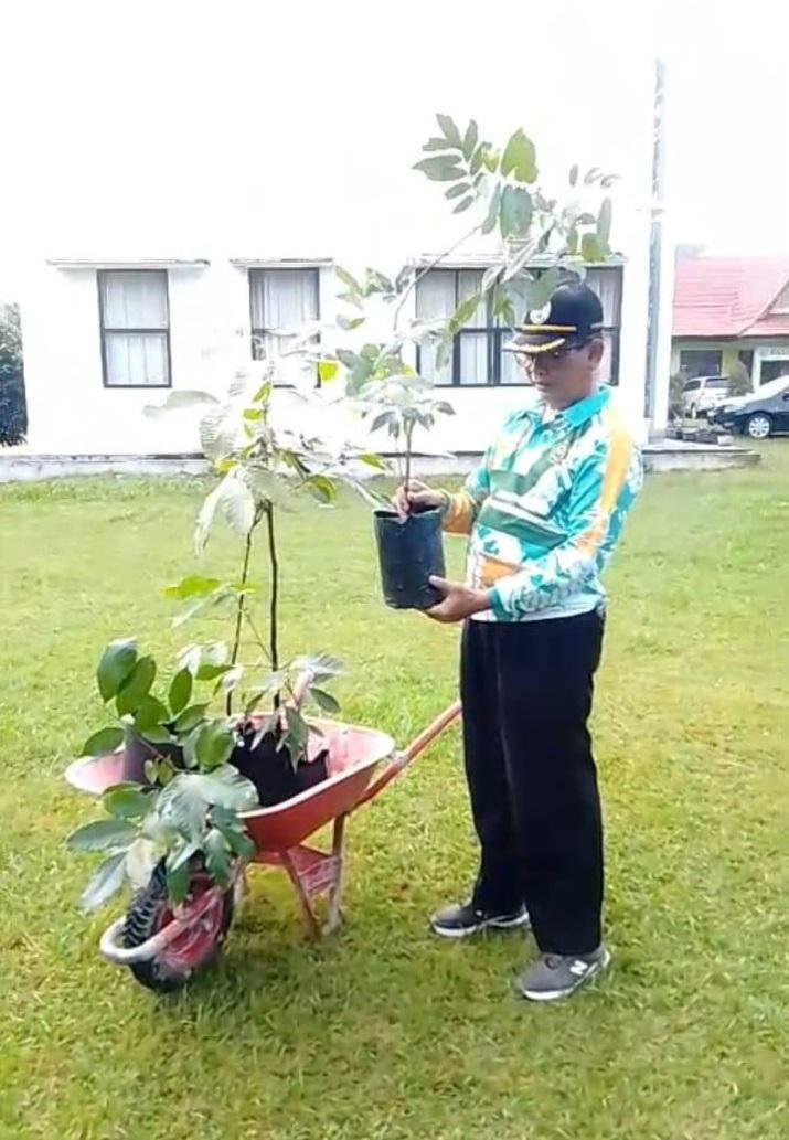 KUA Kuantan Tengah Sukseskan Program Kementerian Agama RI Penanaman 1 Juta Pohon Matoa