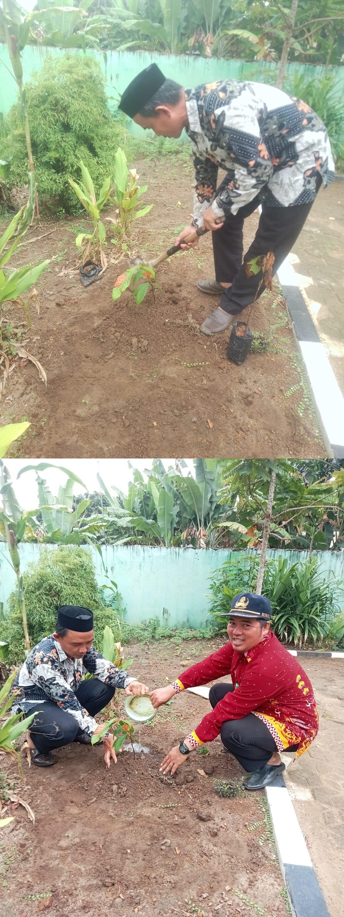 KUA Jabung Tanam Pohon Matoa dalam Gerakan Penanaman Satu Juta Pohon