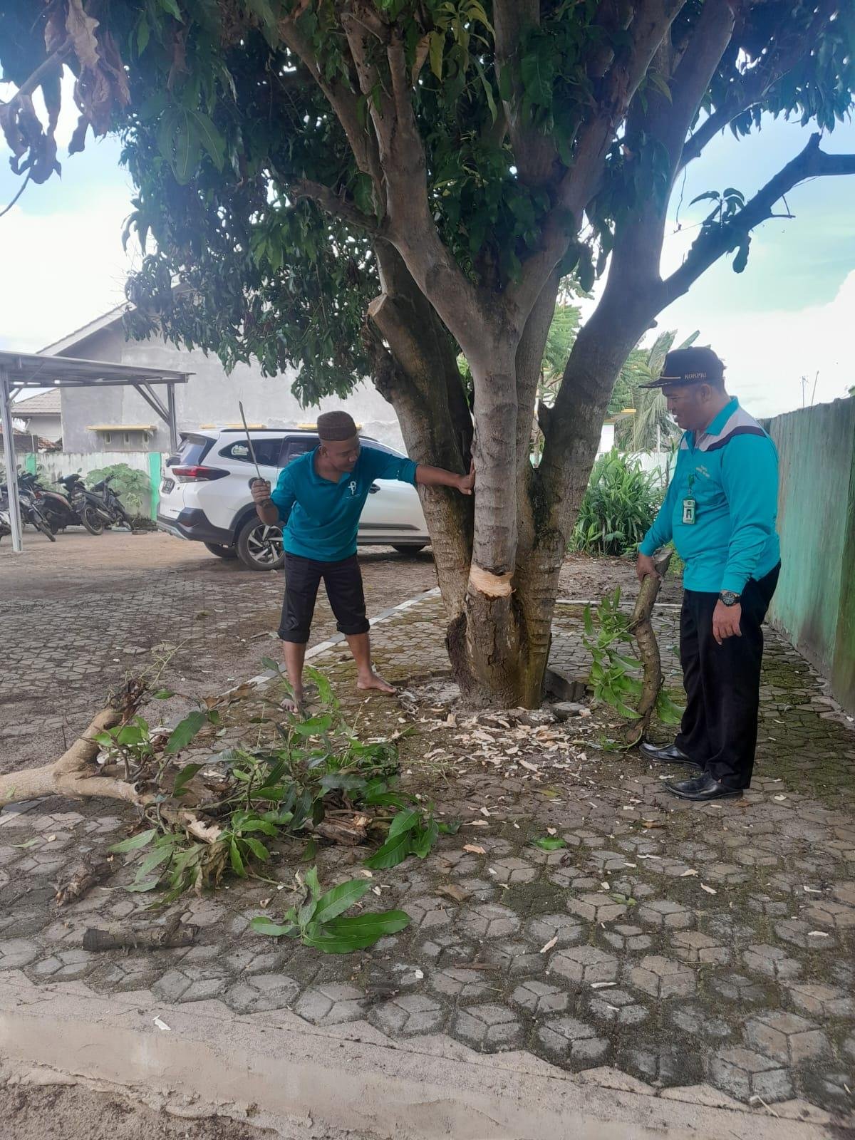 KUA Jabung Gelar Jumat Bersih Tebang Pohon Mangga