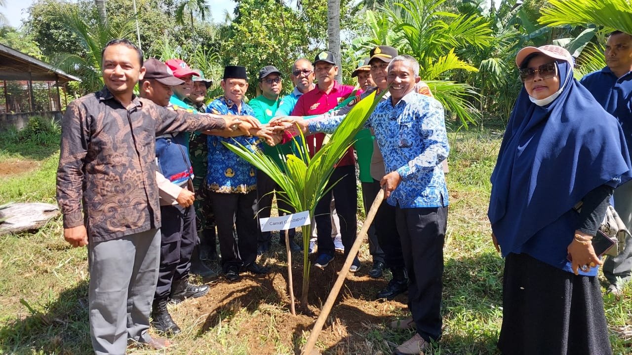 Manfaatkan Lahan Wakaf Produktif, KUA dan Madrasah Gandapura Tanam 216 Pohon
